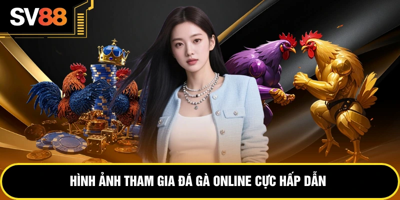 Hình ảnh tham gia đá gà online cực hấp dẫn